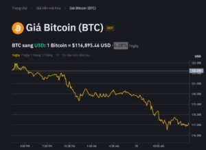 Giá Bitcoin hôm nay 28.7: Bitcoin phục hồi mạnh sau cú ‘xả hàng’ của cá voi